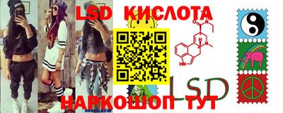 шишки Гулькевичи
