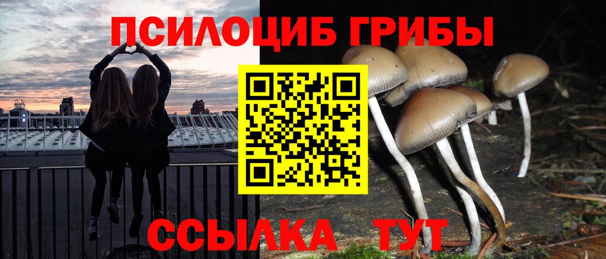 Галлюциногенные грибы Magic Shrooms  Вход с VPN  Галлюциногенные грибы MAGIC MUSHROOMS  Железногорск 
